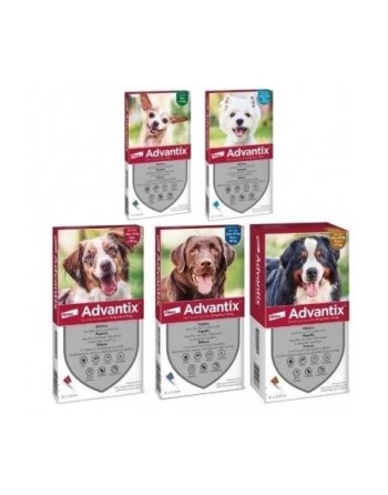 Advantix 6 Pipette Per Cani