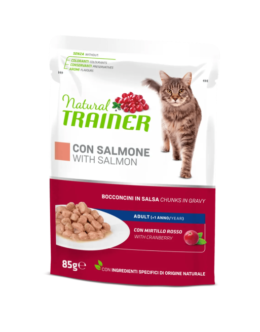 Natural Trainer Adult Con Salmone