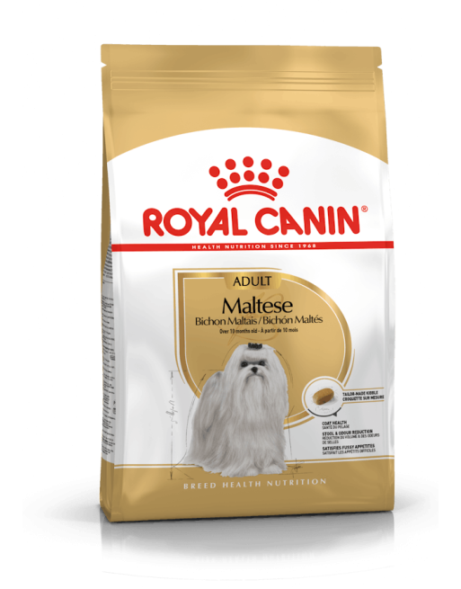 Royal Canin Adult Maltese