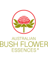 Bush Flower