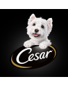 Cesar