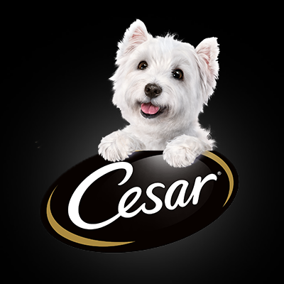 Cesar