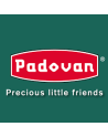 Padovan